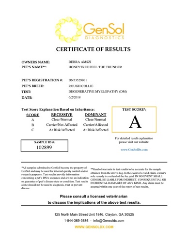 ThunderTestDM-NC vxv GensolResult102899.pdf.jpg ThunderTestDM-NC vxv GensolResult102899.pdf.jpg